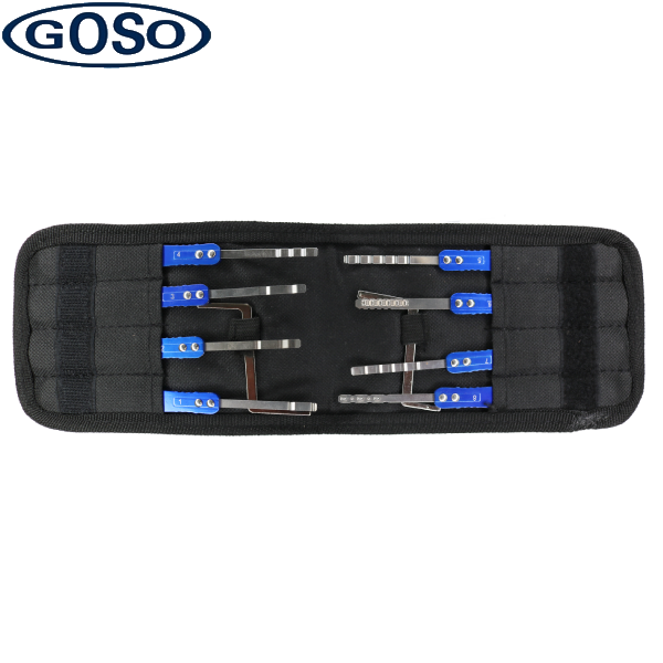 GOSO 10 Pieces Lock Pick Set