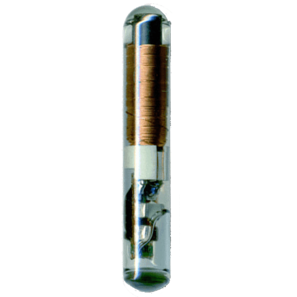 Texsas 4C Glass Transponder Chip